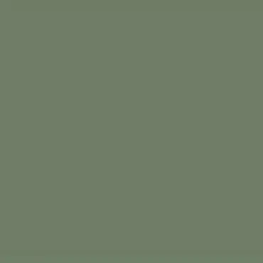 [FLEXVA165] Tela armada AQUACOLOR PF3000 verde argila 1,65 x 25 ml (41,25m²)